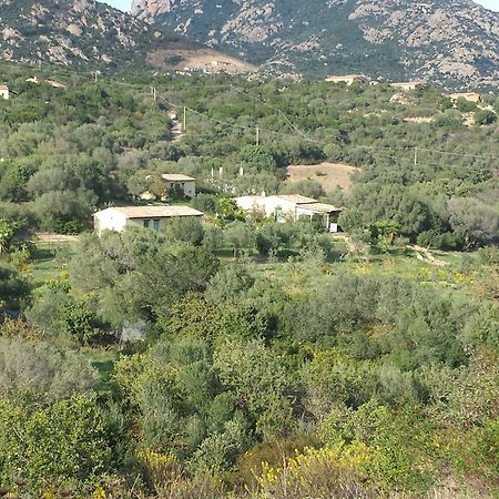 Agriturismo Agrisole 奧爾比亞 外观 照片