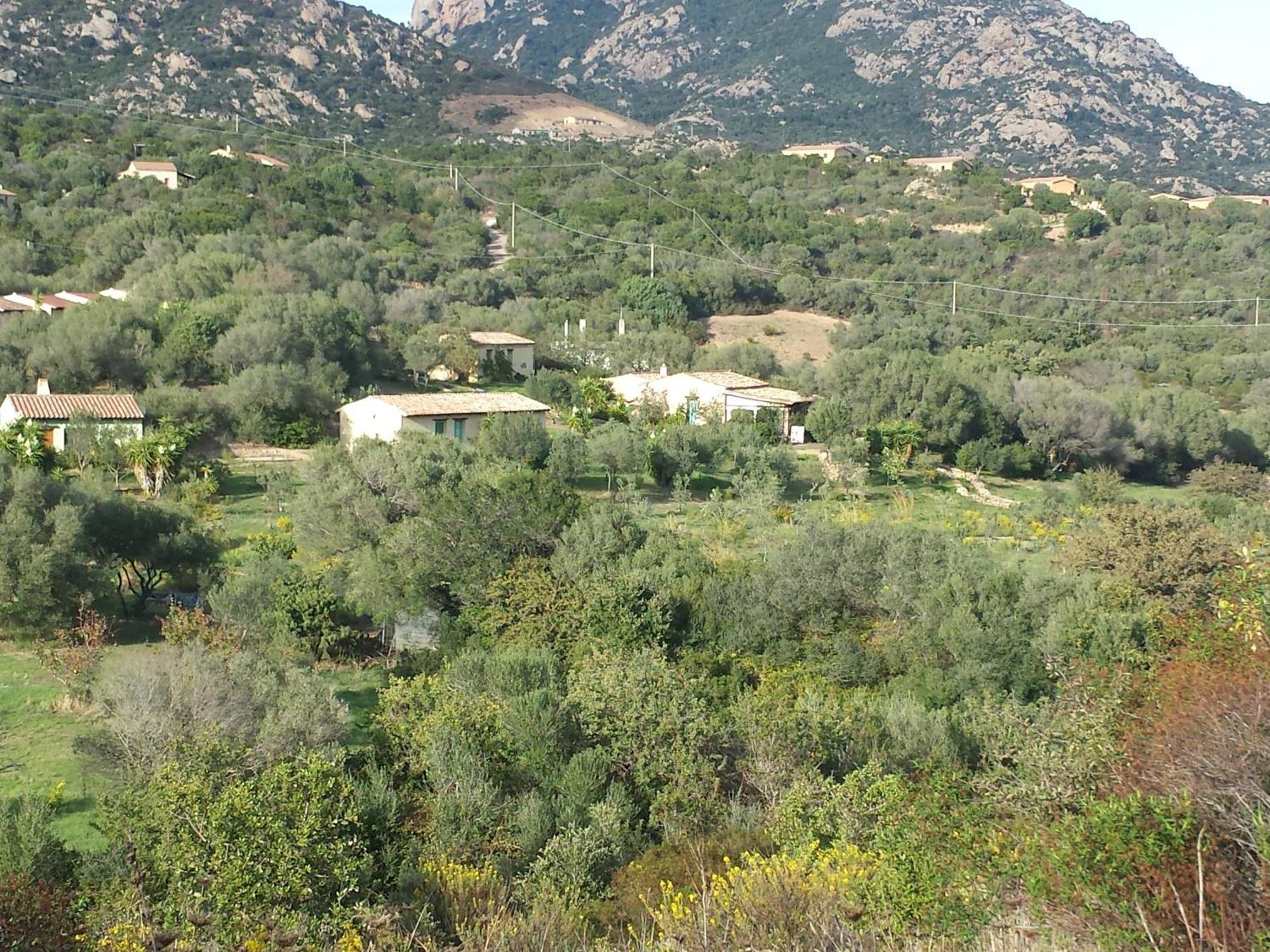 Agriturismo Agrisole 奧爾比亞 外观 照片
