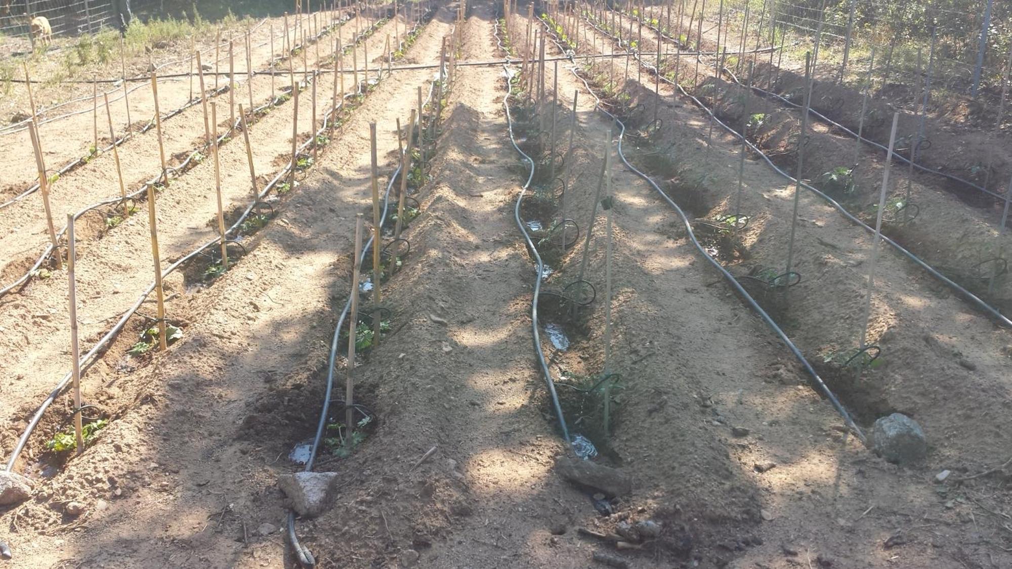 Agriturismo Agrisole 奧爾比亞 外观 照片