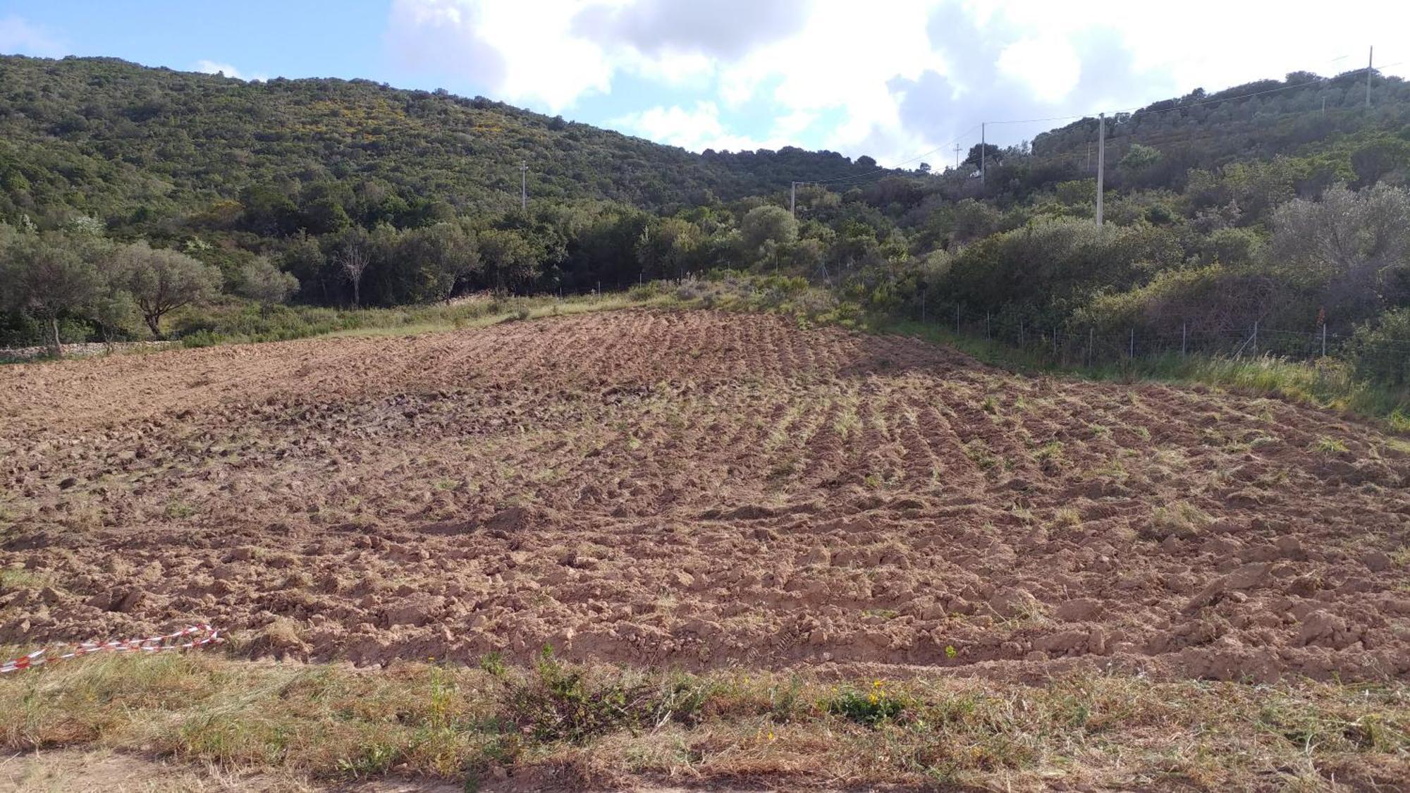Agriturismo Agrisole 奧爾比亞 外观 照片