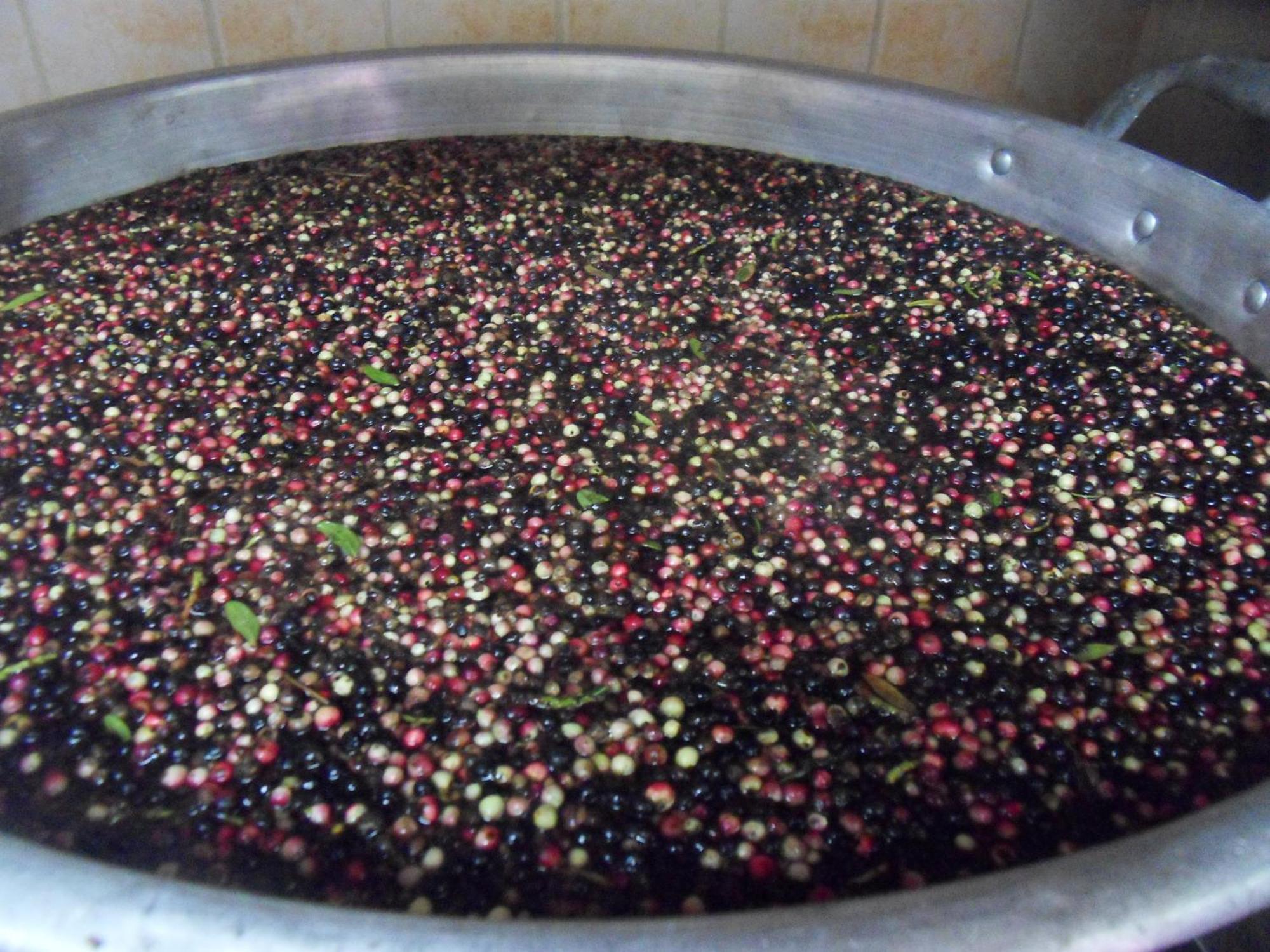 Agriturismo Agrisole 奧爾比亞 外观 照片