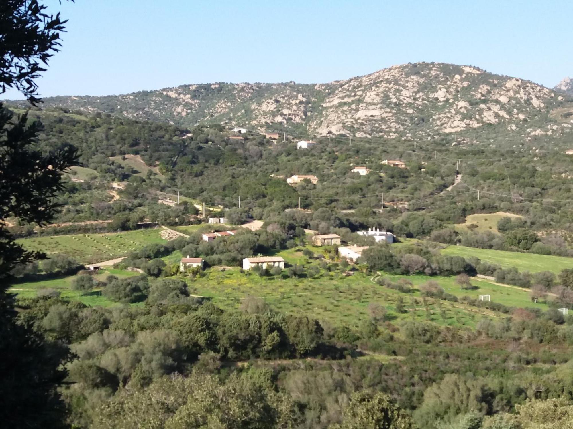 Agriturismo Agrisole 奧爾比亞 外观 照片