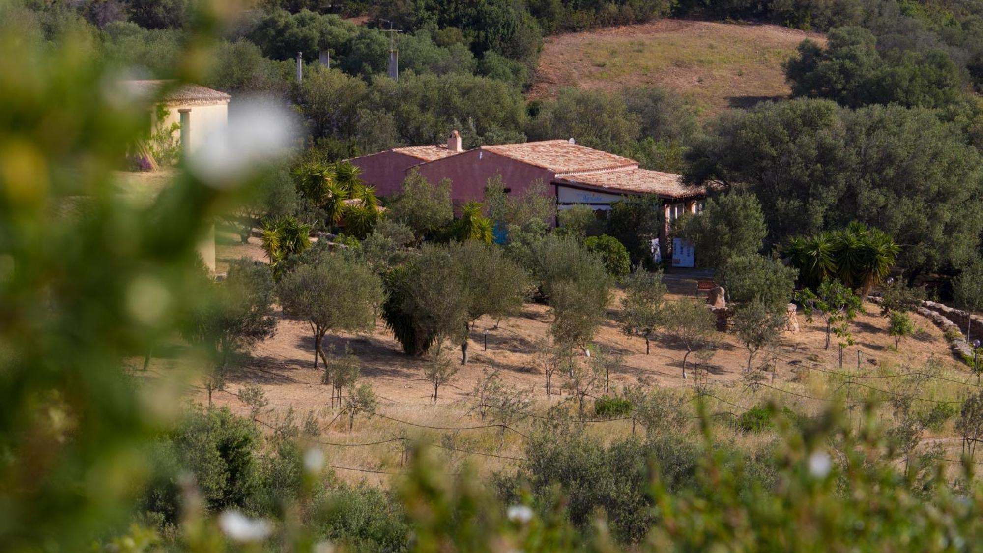Agriturismo Agrisole 奧爾比亞 外观 照片