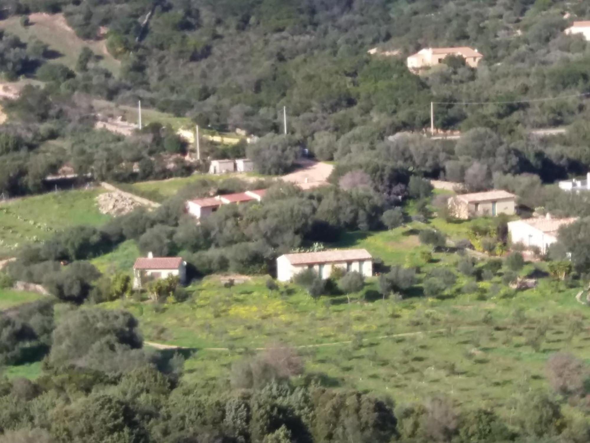 Agriturismo Agrisole 奧爾比亞 外观 照片
