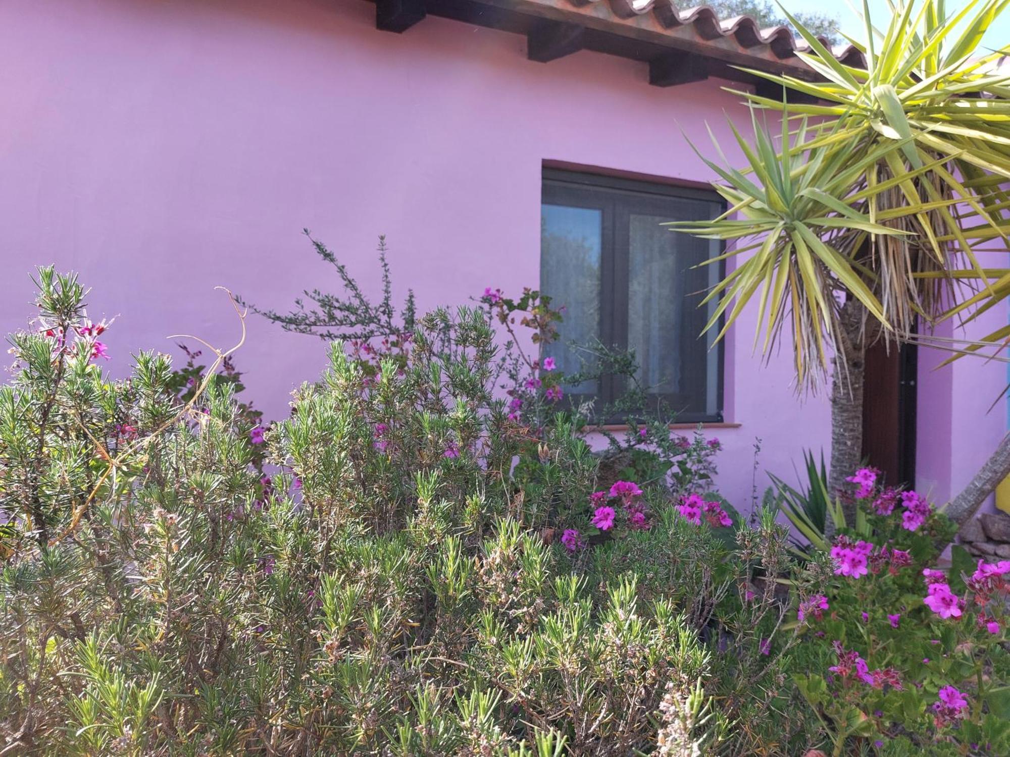 Agriturismo Agrisole 奧爾比亞 外观 照片