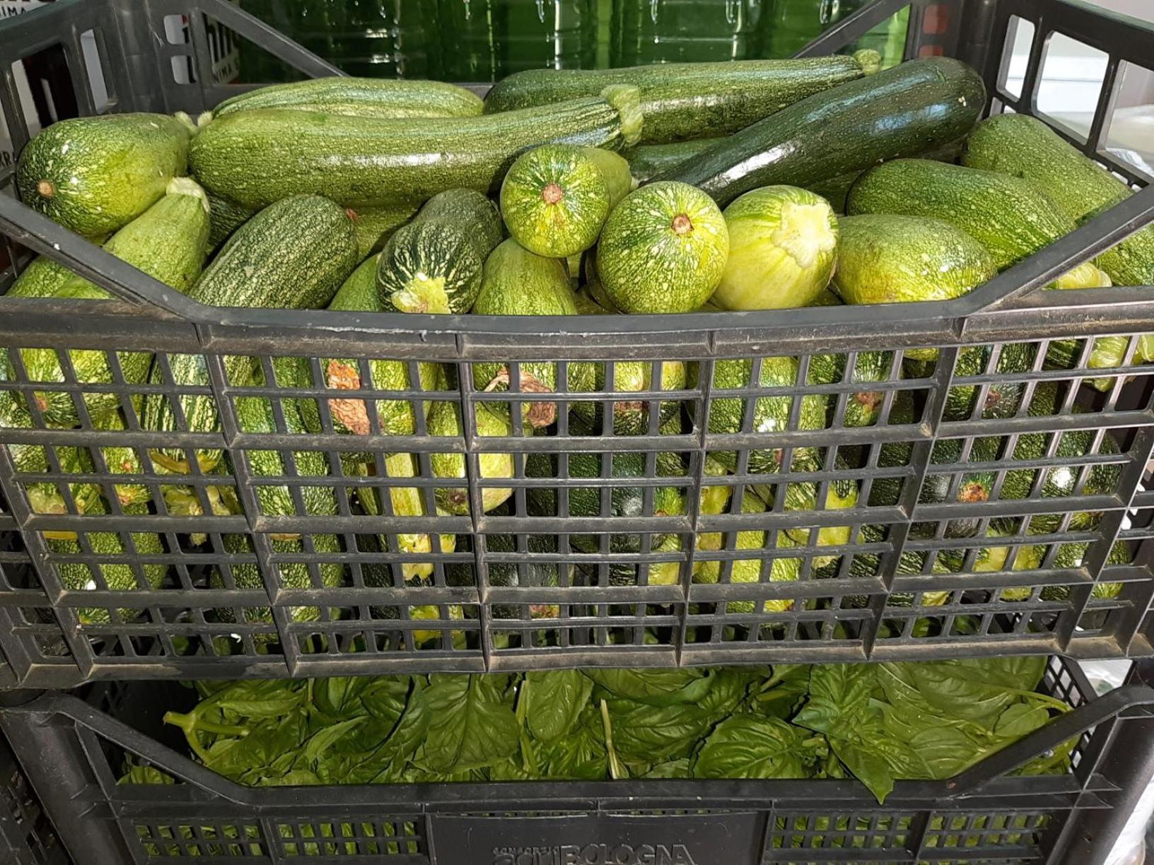 Agriturismo Agrisole 奧爾比亞 外观 照片
