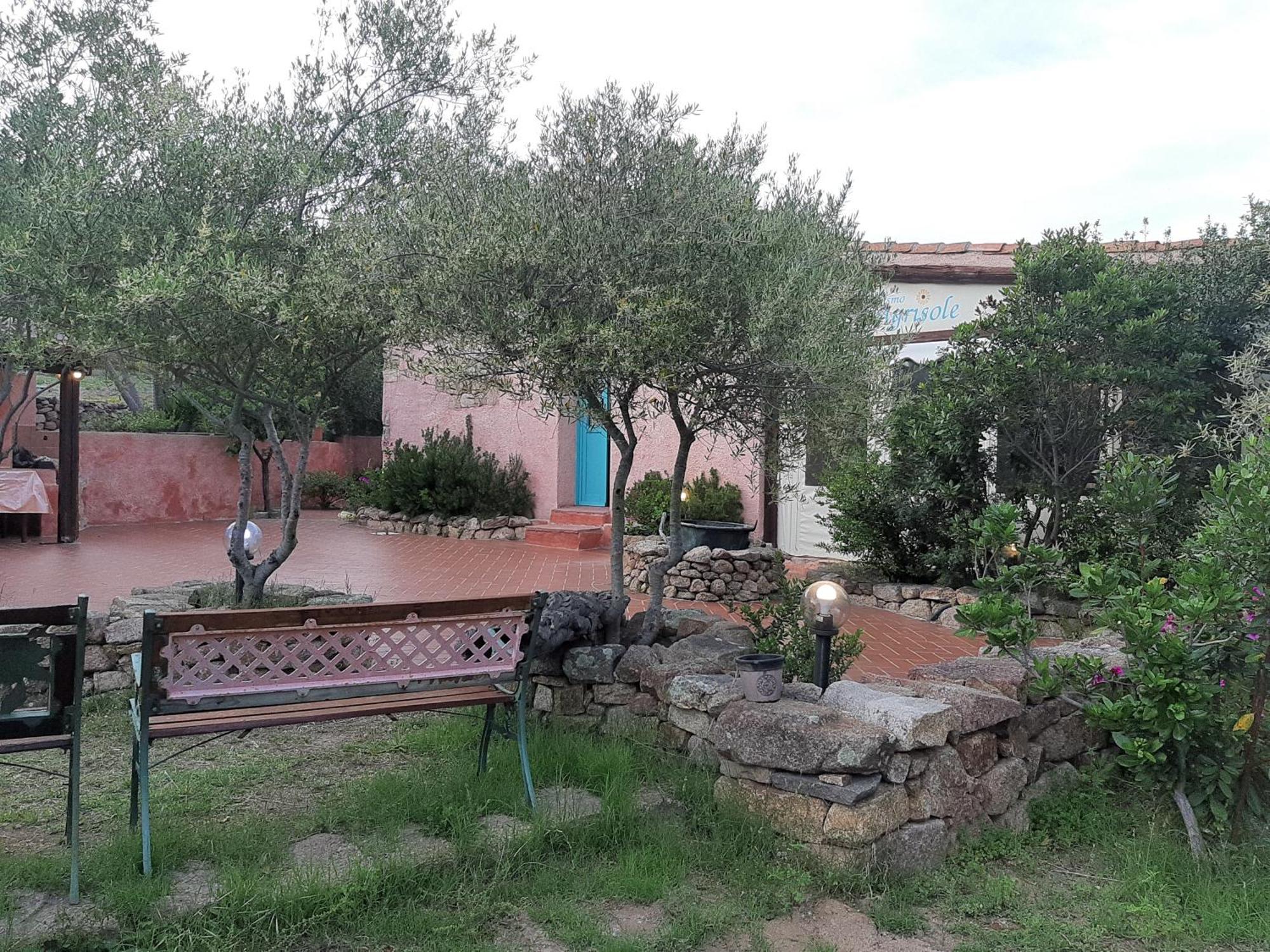 Agriturismo Agrisole 奧爾比亞 外观 照片