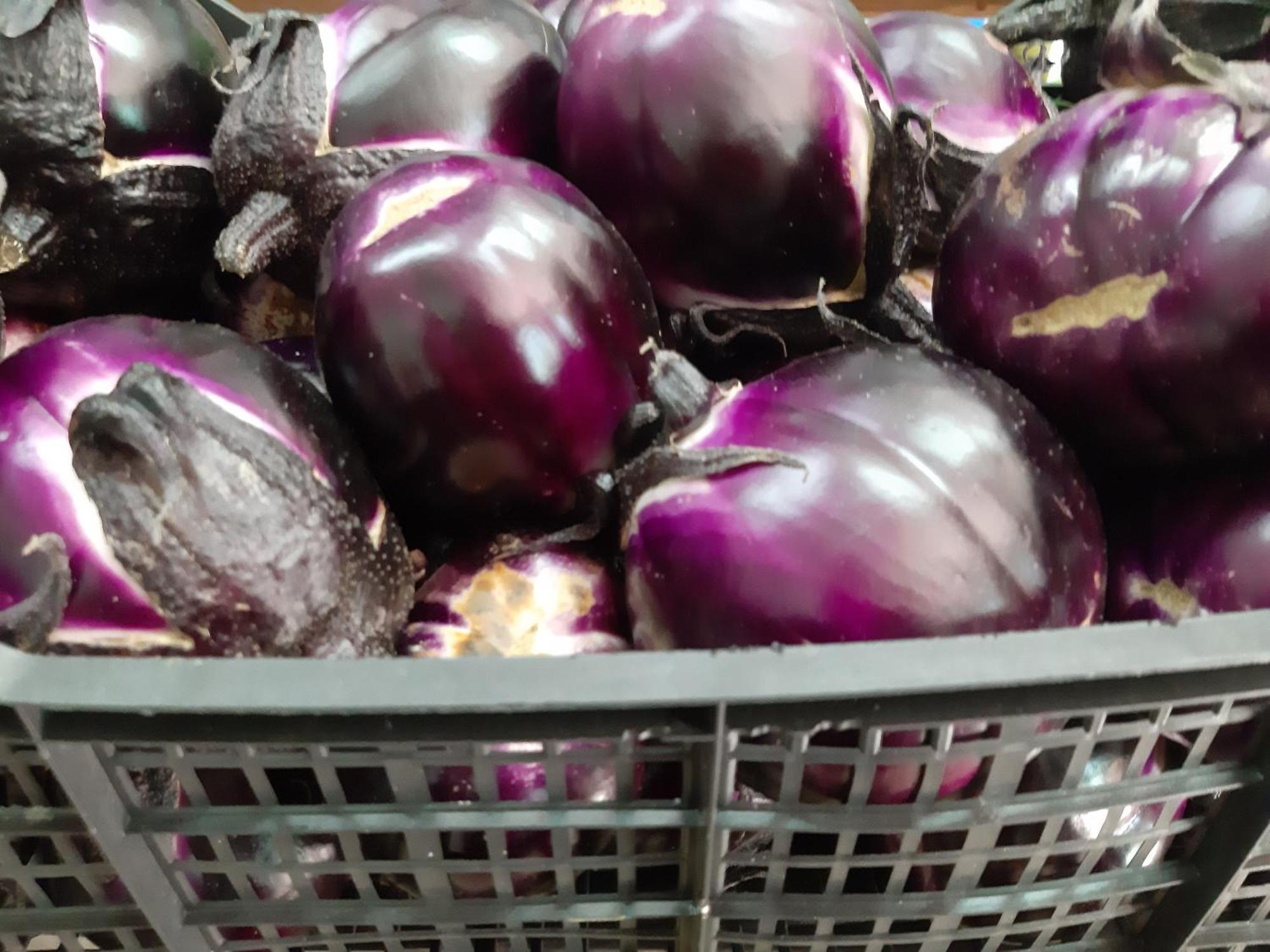 Agriturismo Agrisole 奧爾比亞 外观 照片